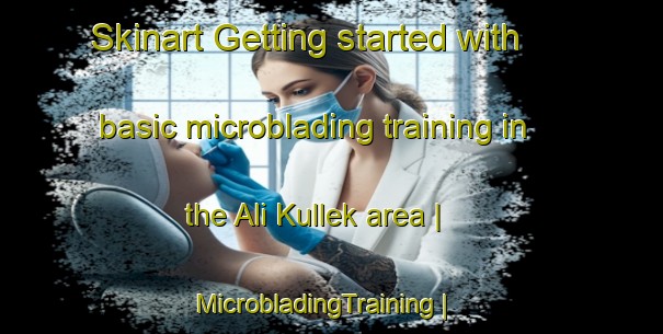 Skinart Getting started with basic microblading training in the Ali Kullek area | MicrobladingTraining | MicrobladingClasses | SkinartTraining-Turkey